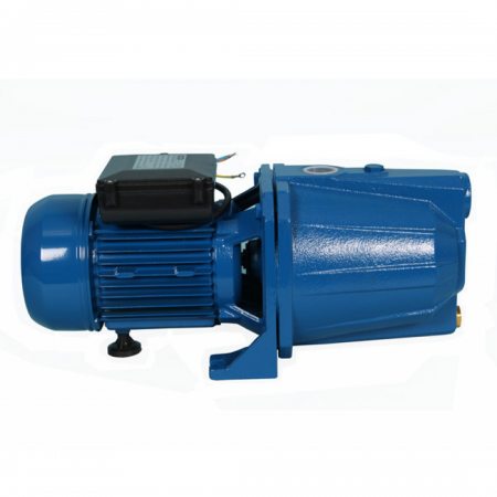 Speroni CAM100/N 230V-50Hz 25mm Self Priming Booster Pump